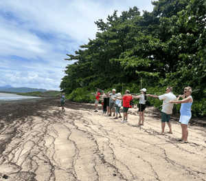 Brisbane to Daintree Tour