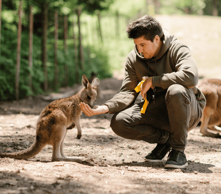 Via Travel Tourism Tasmania Wings Wildlife Park Credit_ Tourism Australia