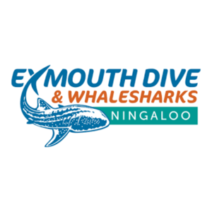 Exmouth Dive and Whalesharks Ningaloo