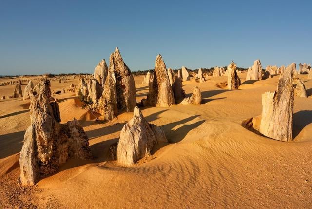 1_Australia_WA_Pinnacles-Nambung-National-Park_1100x735