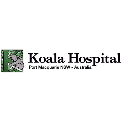 Activity - Koala hospital Port Macquarie | Via Travel Australia